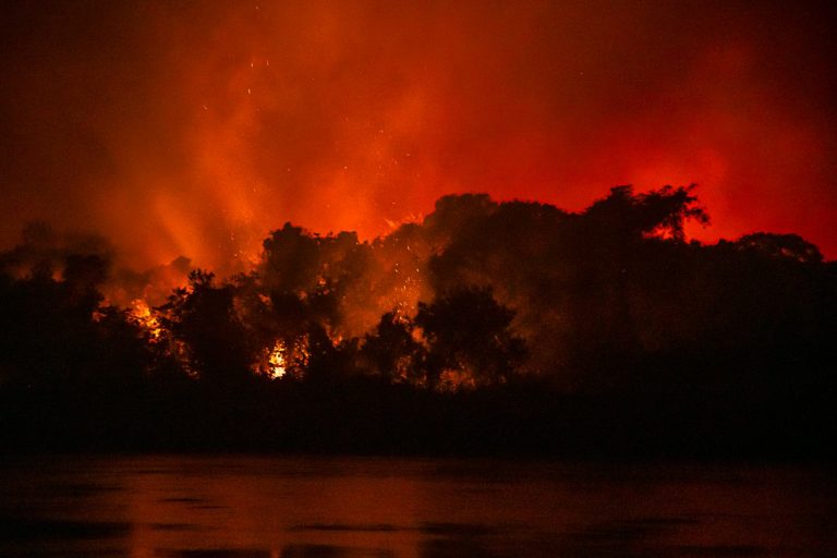 CÂMARA: Projeto cria auxílio emergencial para atingidos por incêndios no Pantanal