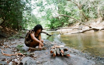 ISA: Justiça determina retirada de invasores das Terras Indígenas Cachoeira Seca e Paquiçamba, no Pará