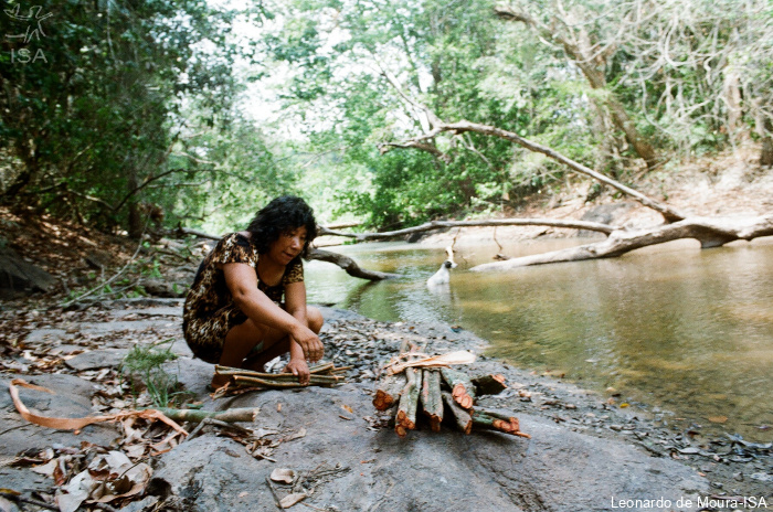 ISA: Justiça determina retirada de invasores das Terras Indígenas Cachoeira Seca e Paquiçamba, no Pará