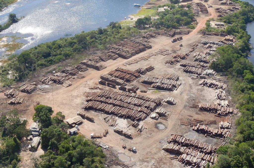 FOLHA DE SÃO PAULO: Volume recorde de madeira apreendida está dentro da produção autorizada, diz governo do Pará