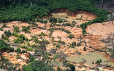 AMAZÔNIA NOTÍCIA E INFORMAÇÃO: Relatório aponta abandono dos Yanomami pelas autoridades durante a pandemia