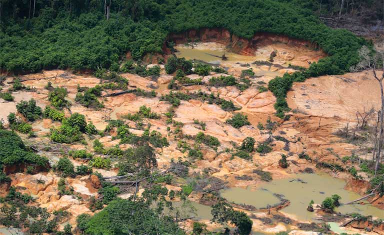 AMAZÔNIA NOTÍCIA E INFORMAÇÃO: Relatório aponta abandono dos Yanomami pelas autoridades durante a pandemia