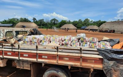 FUNAI: Funai vai distribuir 1 mil cestas de alimentos a famílias indígenas na região do Xingu