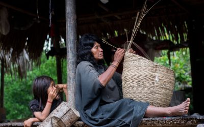 AMAZÔNIA REAL: Como o povo Ashaninka não pegou Covid-19 até agora