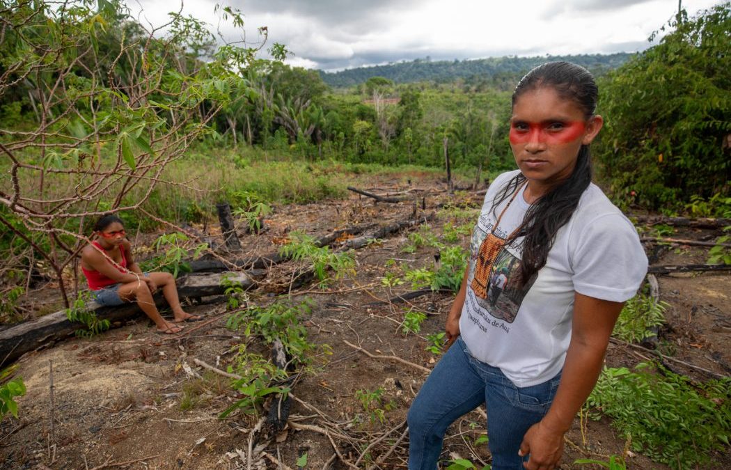 CIMI: MPF pede anulação de portaria que alterou grupo de trabalho responsável por estudos de terra indígena no Pará