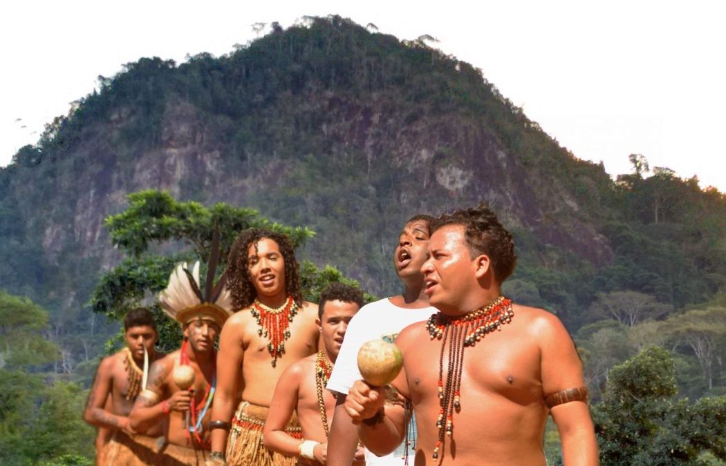 CIMI: STF suspende reintegração de posse de área integrada à demarcação da Terra Indígena Tupinambá de Olivença