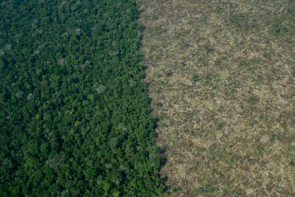 AMAZÔNIA NOTÍCIA E INFORMAÇÃO: Como o povo Karipuna expulsou criminosos de suas terras na Amazônia