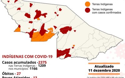 CPI- ACRE: Monitoramento da COVID-19 entre indígenas no Acre