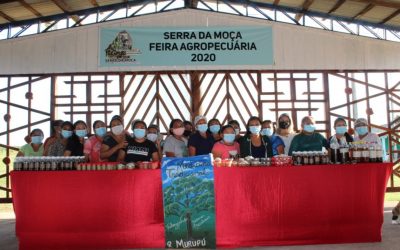 CIR: MULHERES WAPICHANA E MACUXI DA REGIÃO MURUPÚ REALIZAM OFICINA DE MEDICINA TRADICIONAL