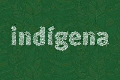 MPF: Após batalha judicial de cinco anos, 13 etnias indígenas do oeste do PA terão atendimento à saúde pela Sesai