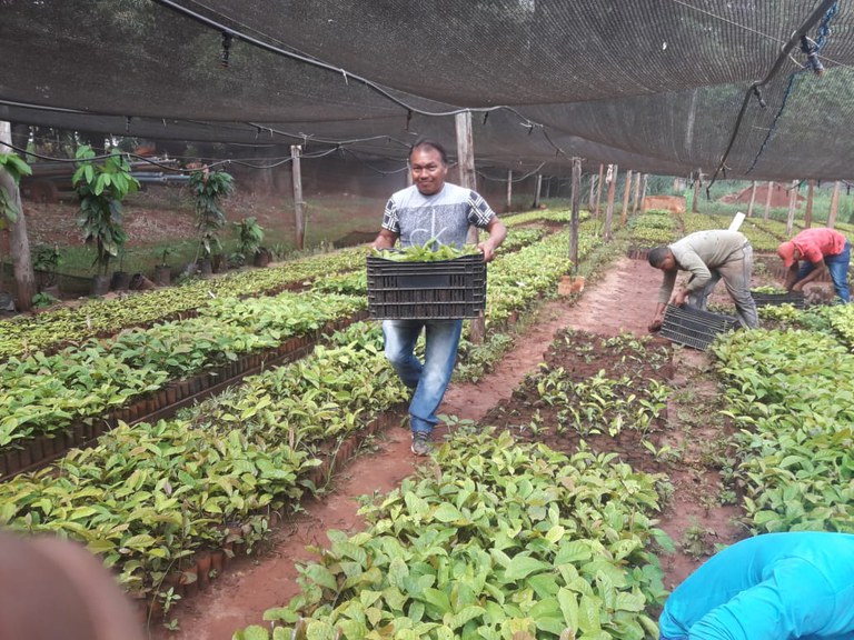 FUNAI: Com apoio da Funai, Unidade de Referência Tecnológica do Café é implementada em aldeia do Mato Grosso