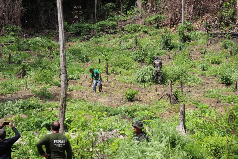 FUNAI: Funai participa de operação de combate a ilícito em Terra Indígena no Maranhão