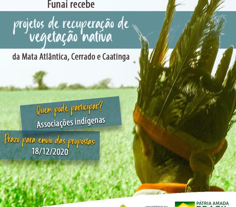 FUNAI: Prazo para o envio de projetos de recuperação de vegetação nativa dos biomas Mata atlântica, Cerrado e Caatinga segue até o dia 18 de dezembro