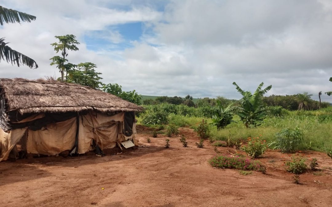 A PUBLICA: Em decisão inédita, indígenas vítimas de “chuva de agrotóxico” recebem R$ 150 mil de indenização
