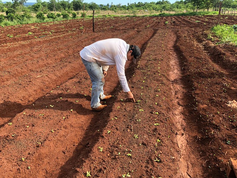 FUNAI: Funai promove visitas técnicas para aprimorar atividades produtivas em aldeias do Mato Grosso do Sul