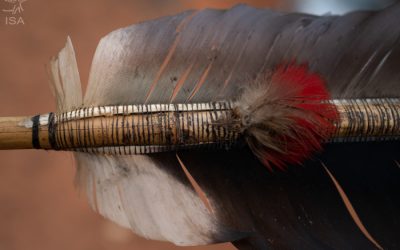 ISA: Em 2020, povos indígenas isolados são acossados por queimadas, violência e pandemia