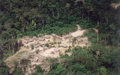 APIB: ADPF 709: STF Exige posição do governo, em 48h, sobre barreiras em terras indígenas