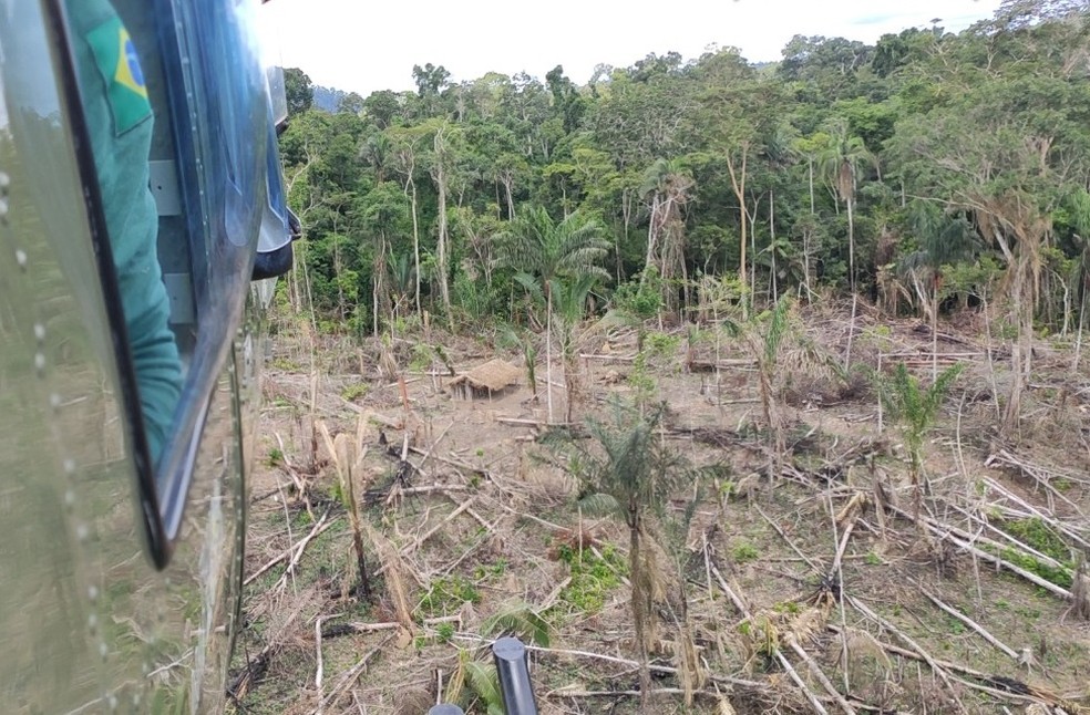 AMAZÔNIA NOTÍCIA E INFORMAÇÃO: Ibama flagra 76 hectares de desmatamento ilegal na Terra Indígena Koatinemo, no sudoeste do PA