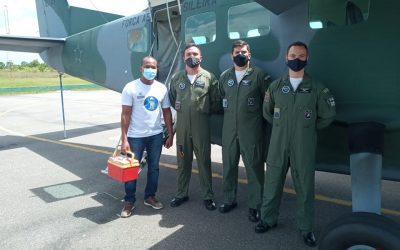 DEFESA: Forças Armadas completam 14 dias de apoio ao Amazonas