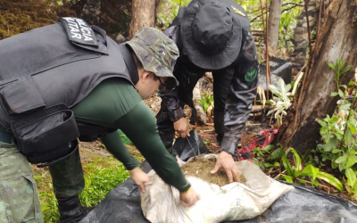 FUNAI: Funai e Polícia Militar combatem ilícitos ambientais em Terras Indígenas do Maranhão