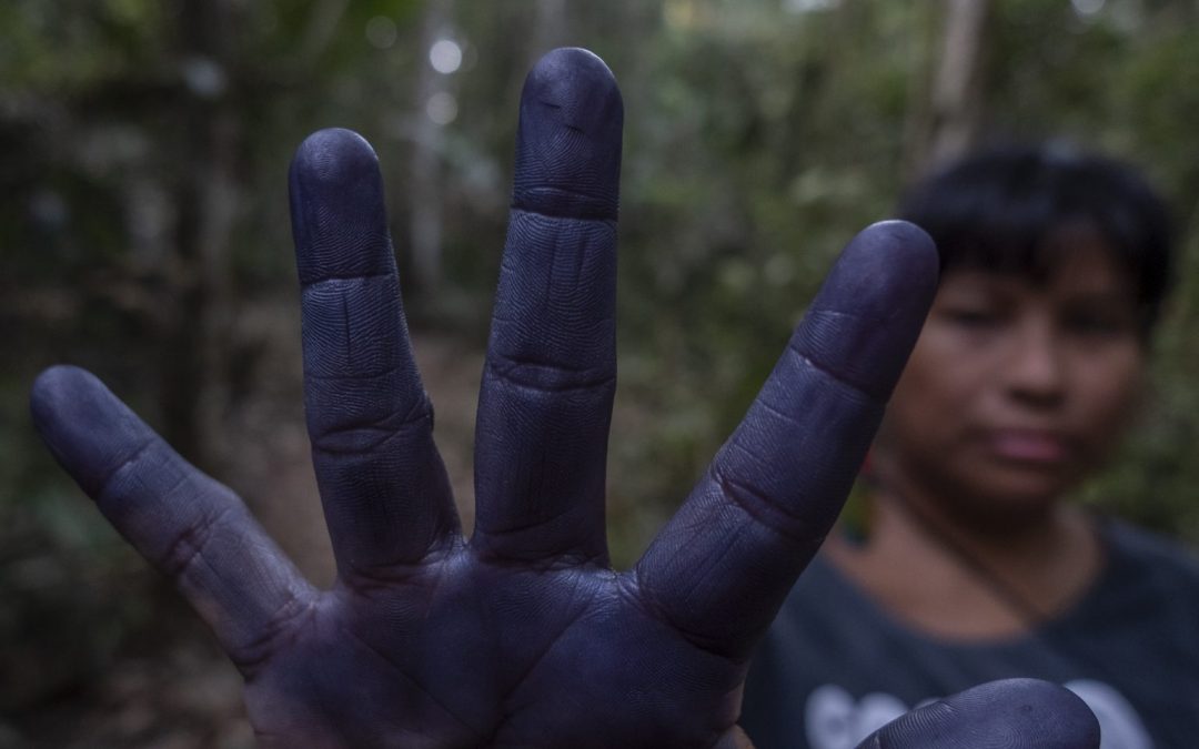 JORNALISTAS LIVRES: Autodemarcação Tupinambá reivindica reconhecimento do território no Pará