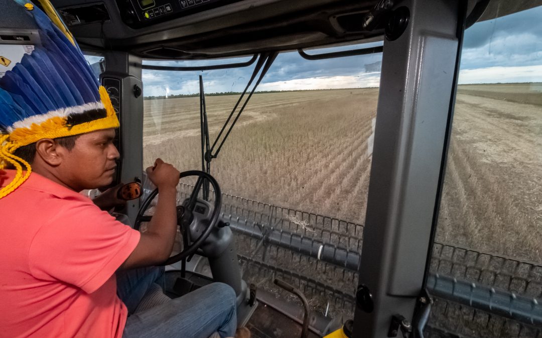 FUNAI: Grupo de Agricultores Indígenas sai em defesa da autonomia e protagonismo de etnias