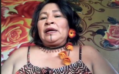 IEB: Primeira assembleia virtual das mulheres indígenas da Amazônia brasileira