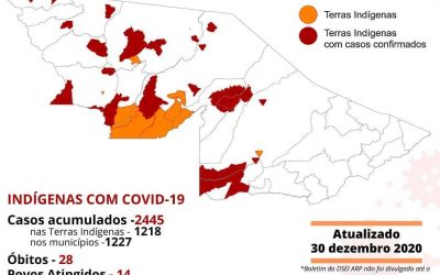 CPI- ACRE: Monitoramento da COVID-19 entre indígenas no Acre