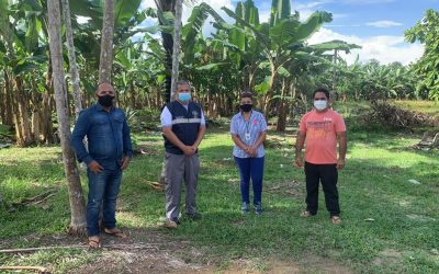 MINISTÉRIO DA SAÚDE: SESAI busca parcerias e projeta 2021 como um ano de oportunidades