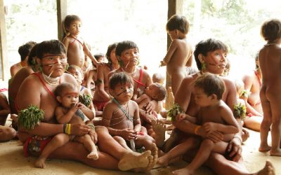 AMAZÔNIA NOTÍCIA E INFORMAÇÃO: Ministério da Saúde investiga mortes de nove crianças Yanomamis por covid-19