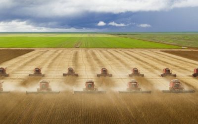 FOLHA DE SÃO PAULO: Mato Grosso transforma seu destino com boom movido por China, fé e Bolsonaro