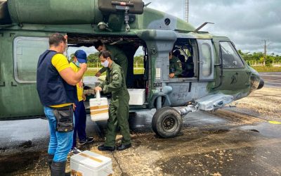 DEFESA: Forças Armadas apoiam vacinação em comunidades indígenas