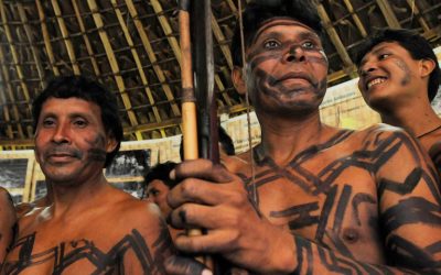 FUNAI: Linhão de Roraima: indígenas Waimiri Atroari iniciam entrega do Plano Básico Ambiental a 60 aldeias