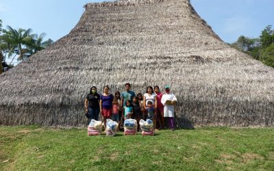 FUNAI: Funai entrega cerca de 600 mil cestas básicas a indígenas durante a pandemia; confira o vídeo