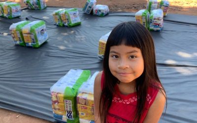 FUNAI: Funai atinge a marca de 500 mil cestas de alimentos entregues a indígenas