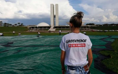 GREENPEACE: Câmara e Senado precisam priorizar a defesa da vida, florestas e democracia