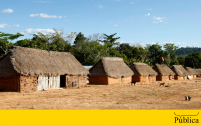 AGÊNCIA PÚBLICA: Plano de vacinação contra Covid-19 exclui indígenas do Rio Grande do Norte e do Piauí