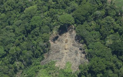 FUNAI: Funai reforça ações de proteção a povos isolados no Acre