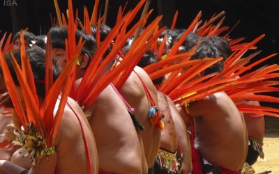 ISA: Vacinação começa na Terra Yanomami em meio a denúncia da morte de 9 bebês com sintomas de Covid-19