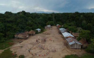 AMAZÔNIA NOTÍCIA E INFORMAÇÃO: Indígenas pedem linha direta com governo Biden em conversas sobre Amazônia