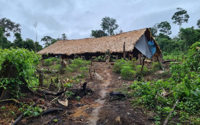 FUNAI: Atuação da Funai garante dignidade a indígenas de Roraima