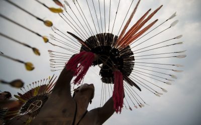 APIB: Biden recebe carta da APIB para articular proteção da Amazônia e dos povos indígenas