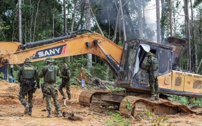 AMAZÔNIA NOTÍCIA E INFORMAÇÃO: Desmonte dos órgãos de fiscalização leva indígenas a realizarem autodemarcação de suas terras para tentar evitar genocídio completo. Entrevista especial com Luísa Pontes Molina