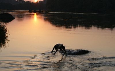 BRASIL DE FATO: No pico da pandemia, Funai autoriza Belo Sun a fazer reuniões com indígenas no Pará
