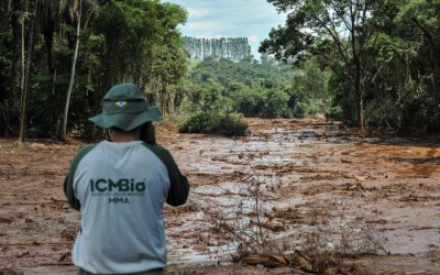 ISA: Cientistas que denunciam desmontes do Governo Federal sofrem censuras e ameaças