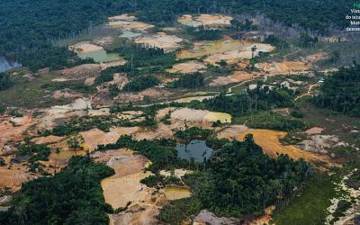 BRASIL DE FATO: Garimpo ilegal desmatou o equivalente a 500 campos de futebol na TI Yanomami em 2020