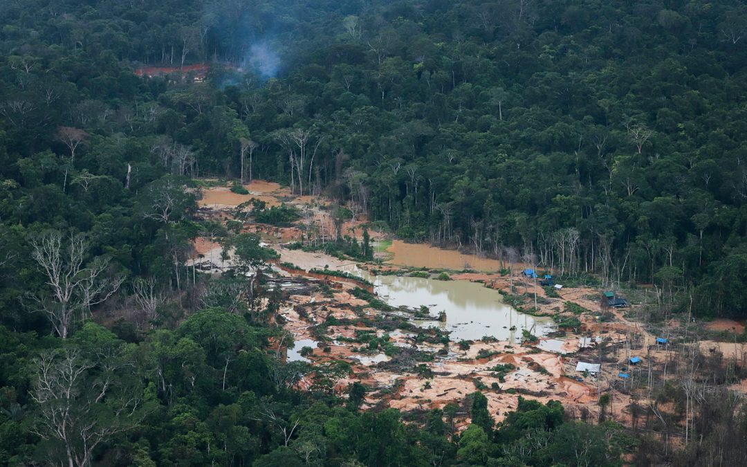 AMAZÔNIA REAL: Garimpo na Terra Yanomami põe em risco indígenas isolados