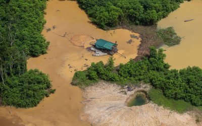 AMAZÔNIA REAL: Justiça exige retirada de garimpeiros da terra Yanomami