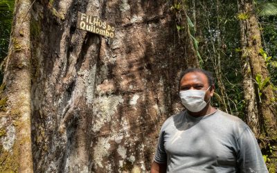 AMAZÔNIA NOTÍCIA E INFORMAÇÃO: A pandemia e os conflitos no território Jambuaçu, no Pará
