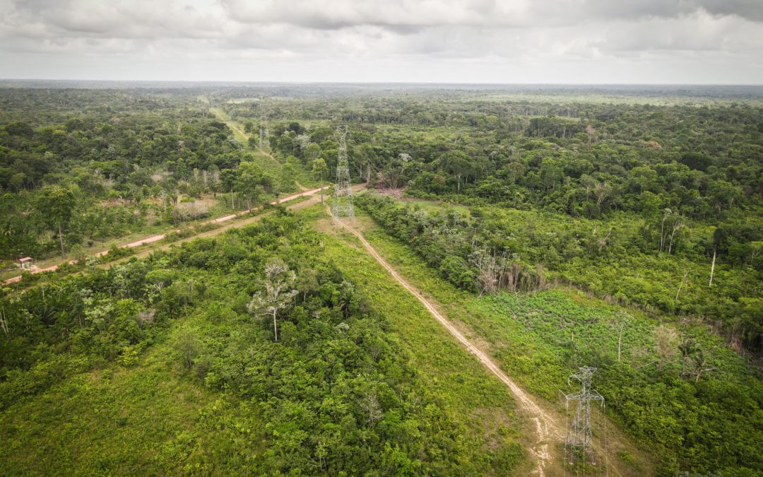 AMAZÔNIA REAL: A pandemia e os conflitos no território Jambuaçu, no Pará